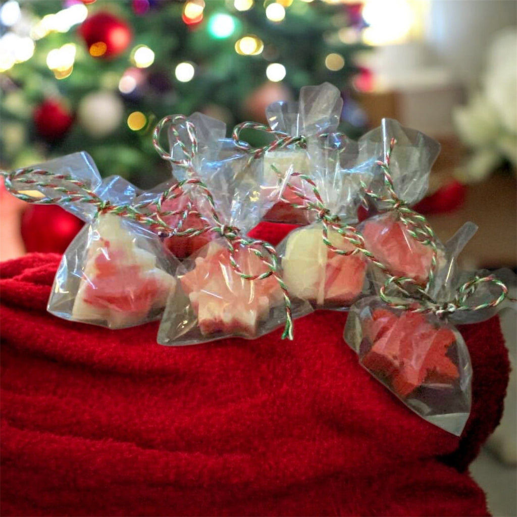 Goats milk hand soap-Christmas Splendor Scent